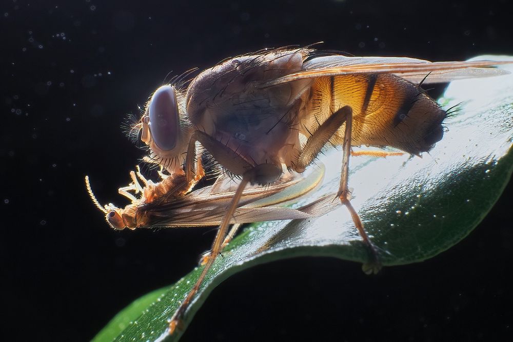 Photograph by Li Chen-You