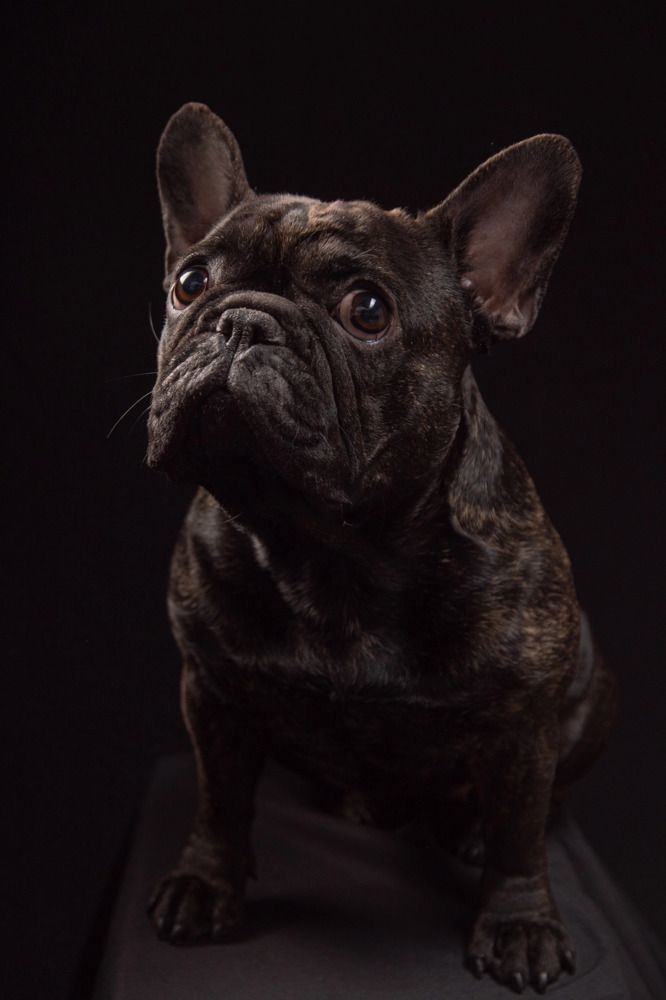 Photograph by Анна Васильева