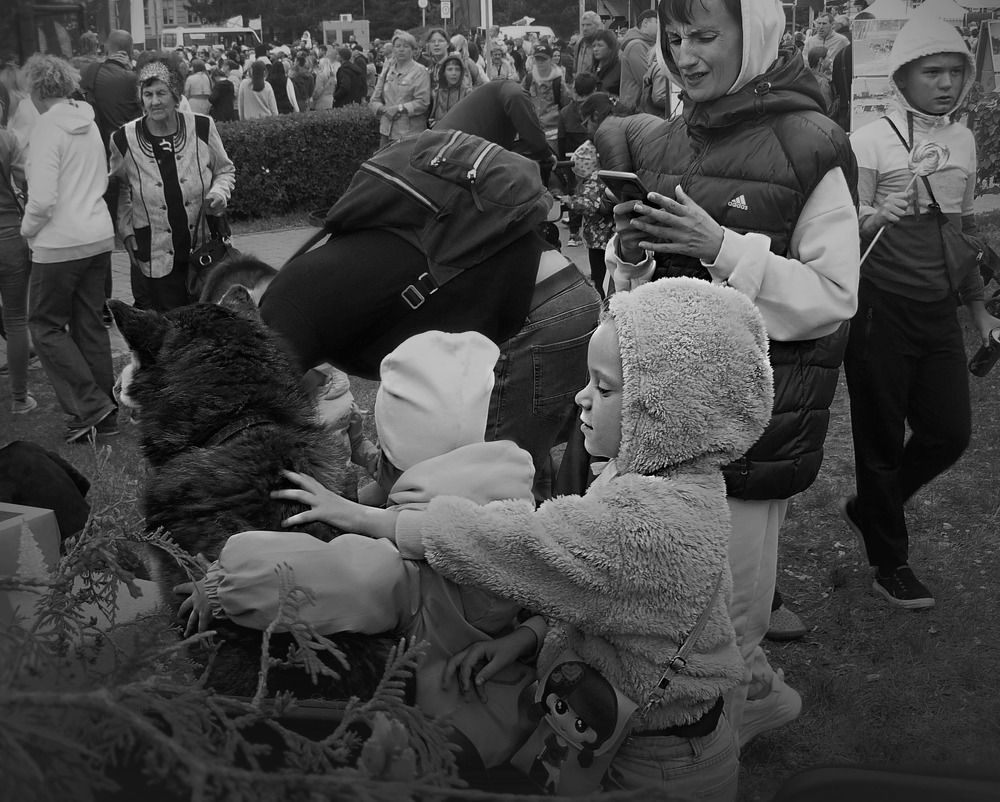 Photograph by Валерий Алфимов