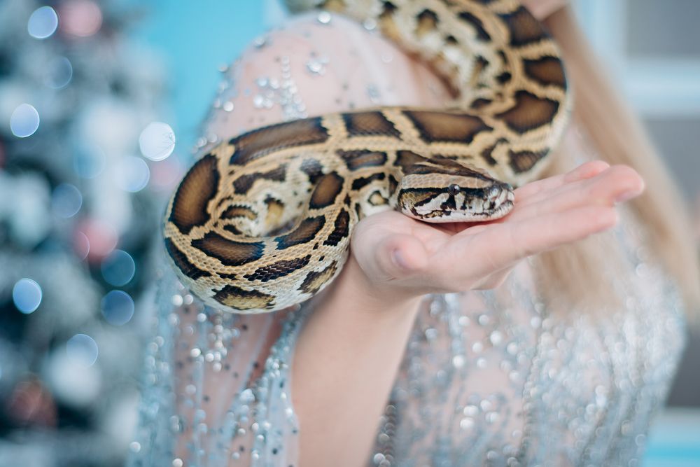 Photograph by Анна Вода