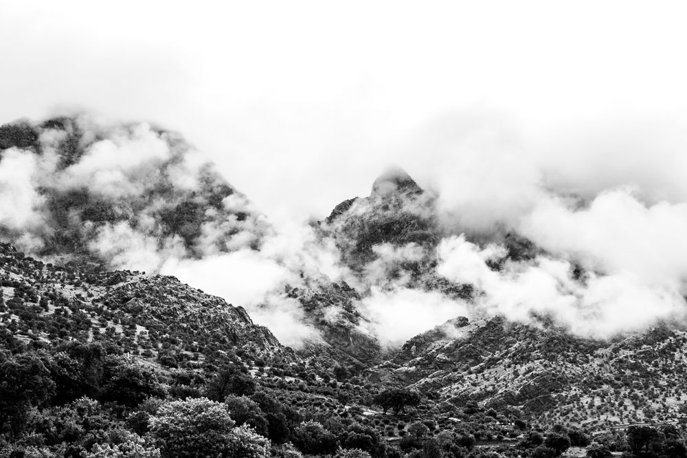 Photograph by Ehsan Fathi