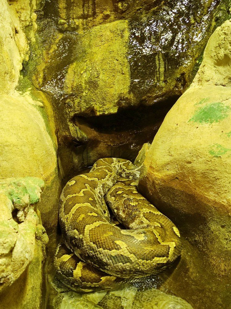 Photograph by Елена Казарина