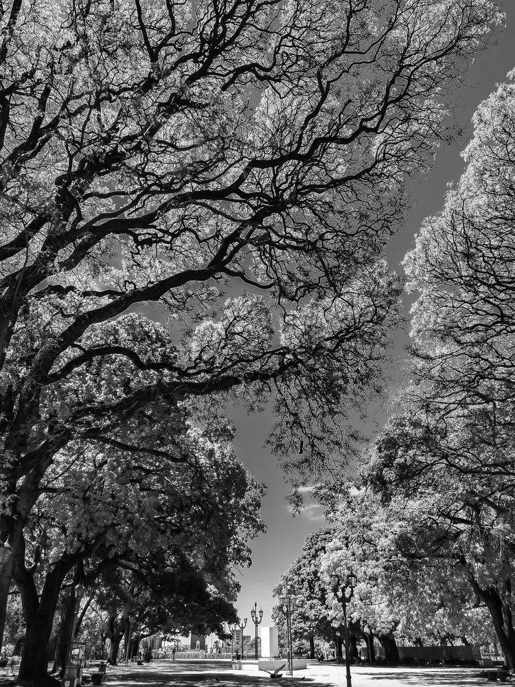 summer in Buenos Aires