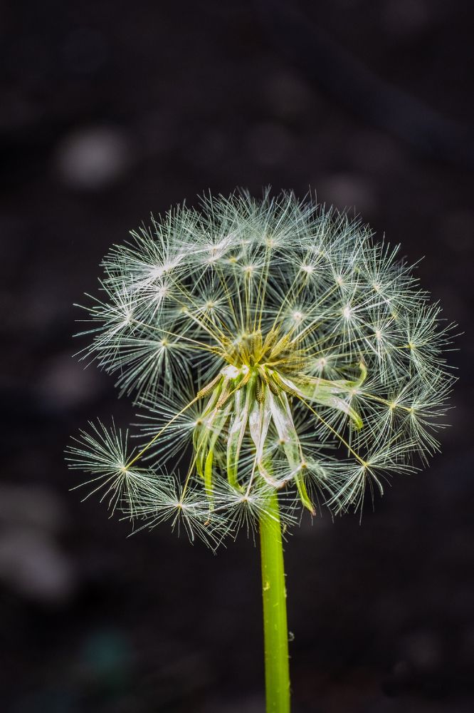 Фотография автора Андрей Арапов