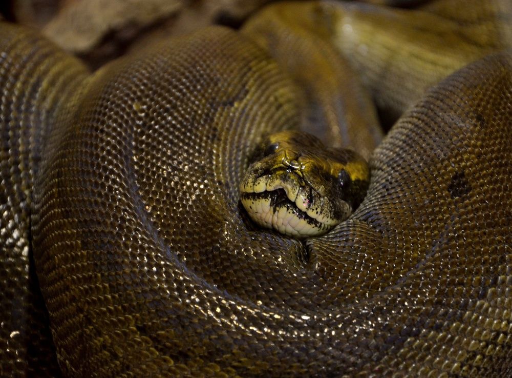 Спокойствие