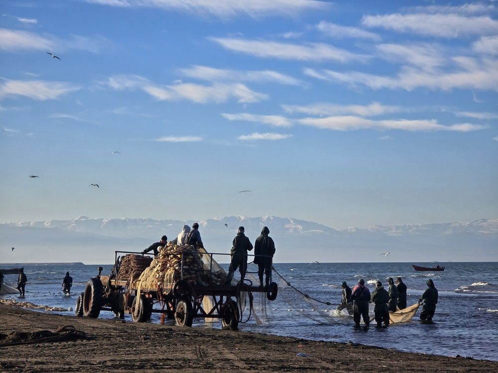 Photograph by Masoumeh Rahimi