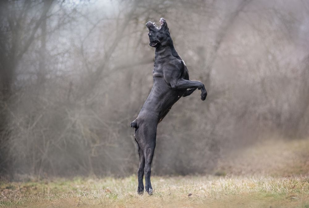 Photograph by Кудлай Яна