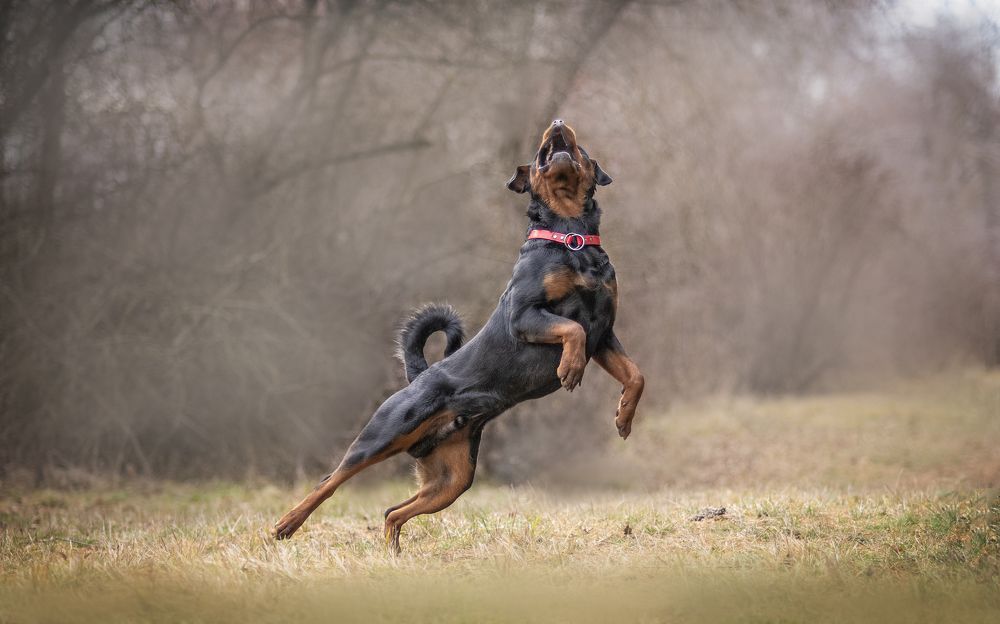 Photograph by Кудлай Яна