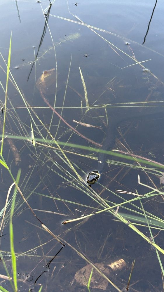 Photograph by Елена Гущина