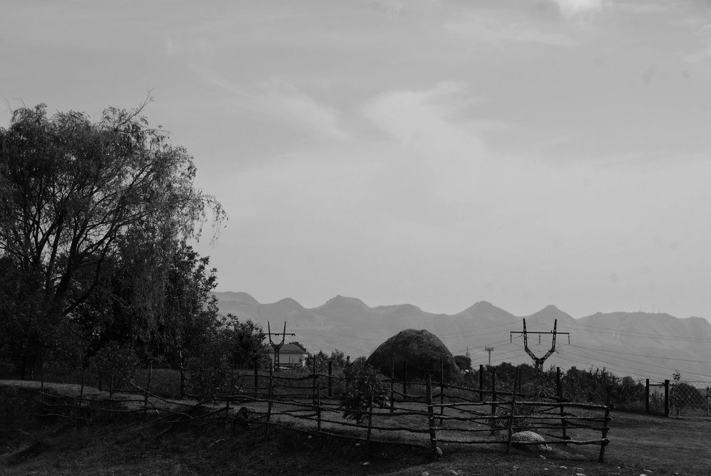 Photograph by Nadin Gaaze