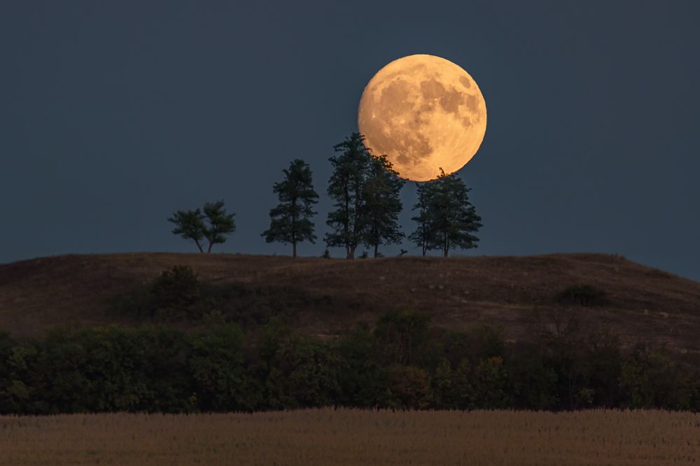 Фотография автора Zakharov Armen