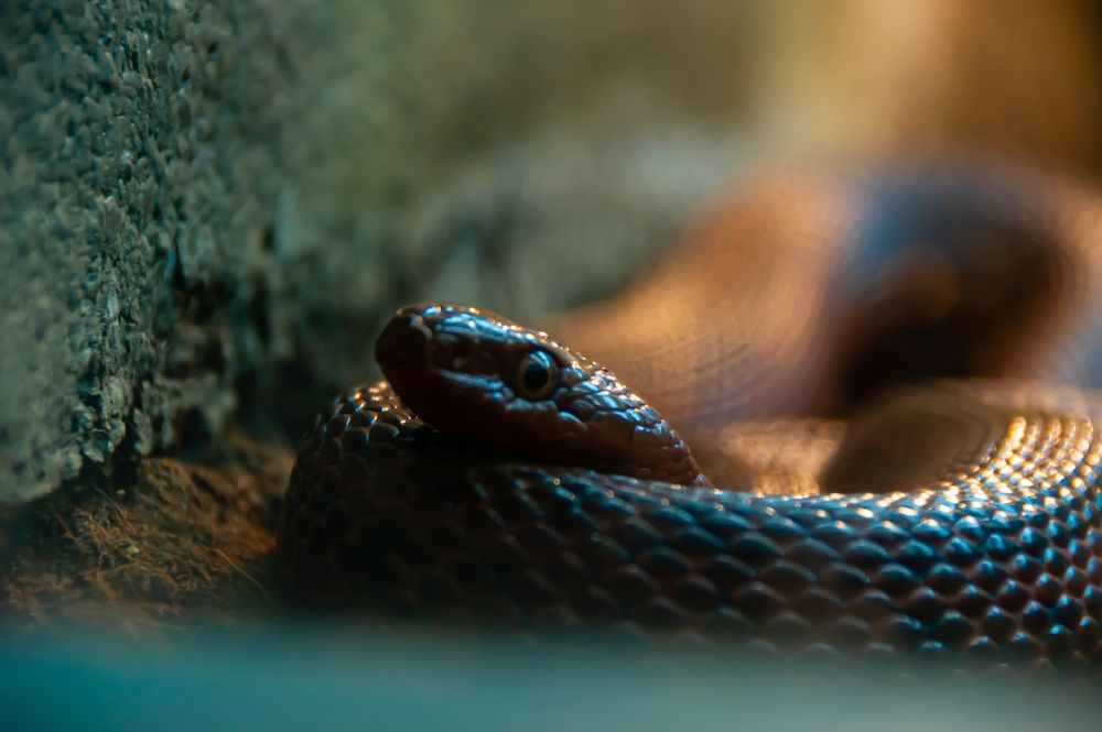 Photograph by Елизавета Корнилова