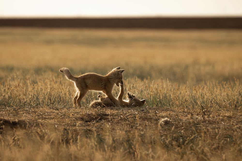 Photograph by Александр Ильин