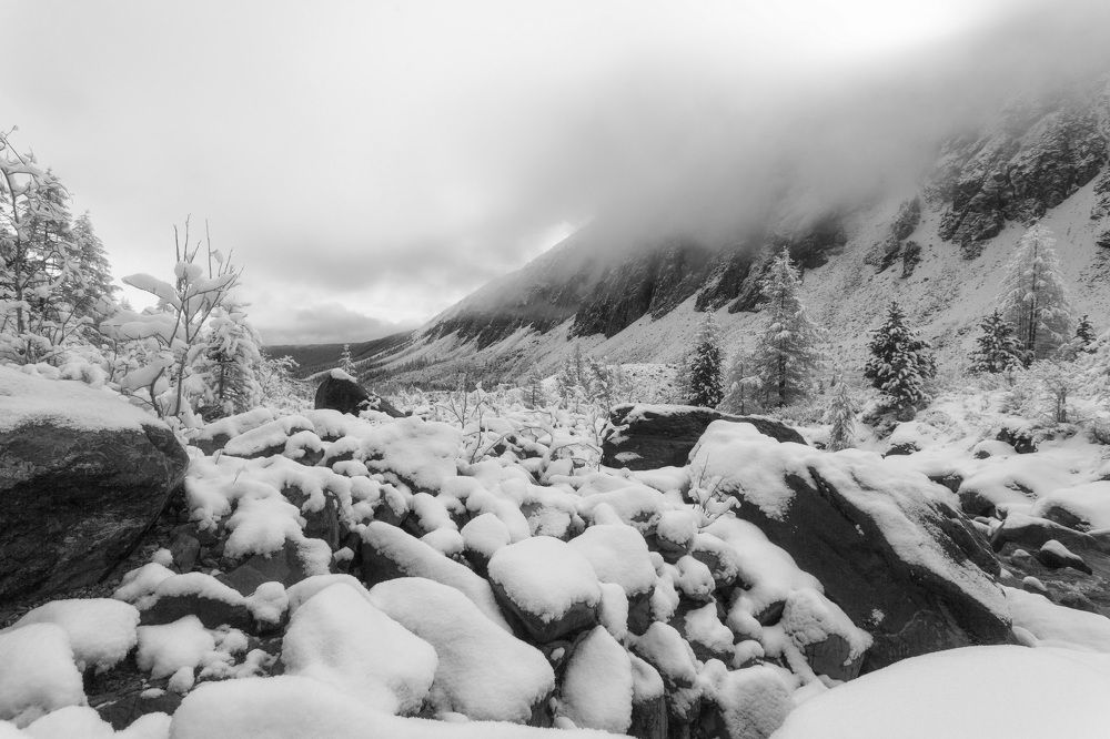 Photograph by Сергей Молоков