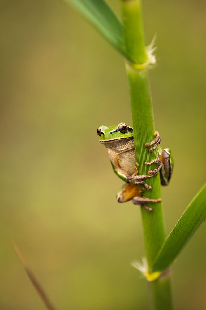 Photograph by Александр Ильин