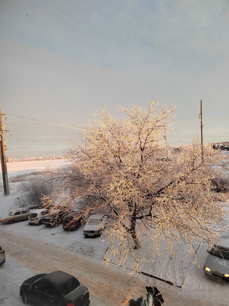 Photograph by Молчанова Ольга