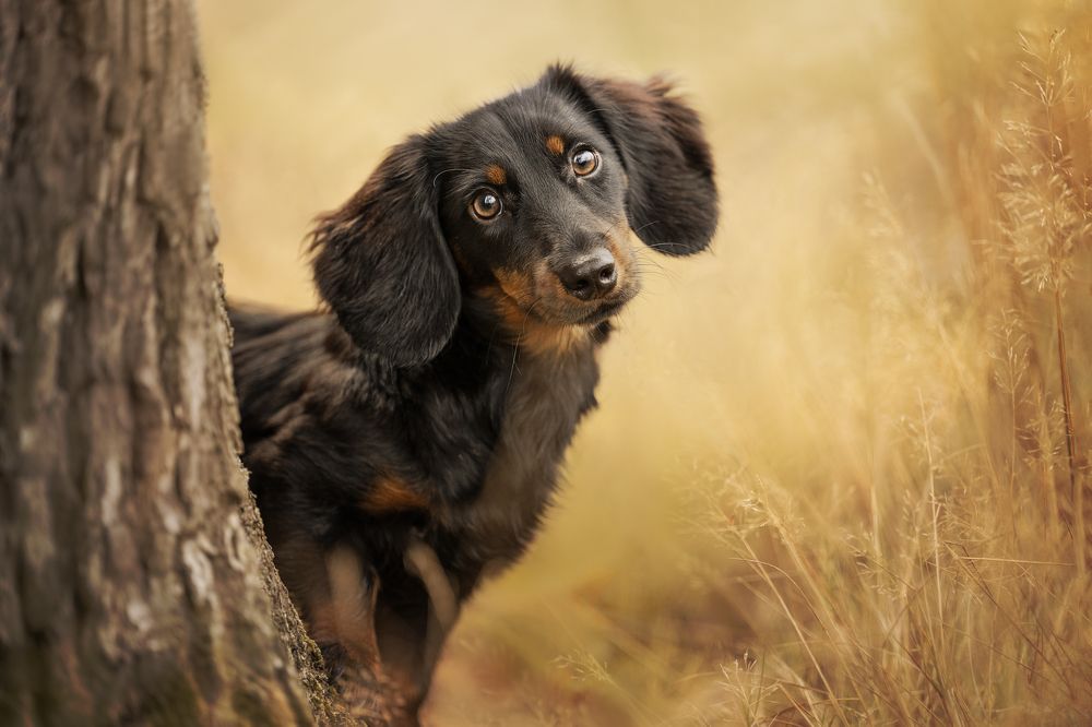 Photograph by Elke Braet