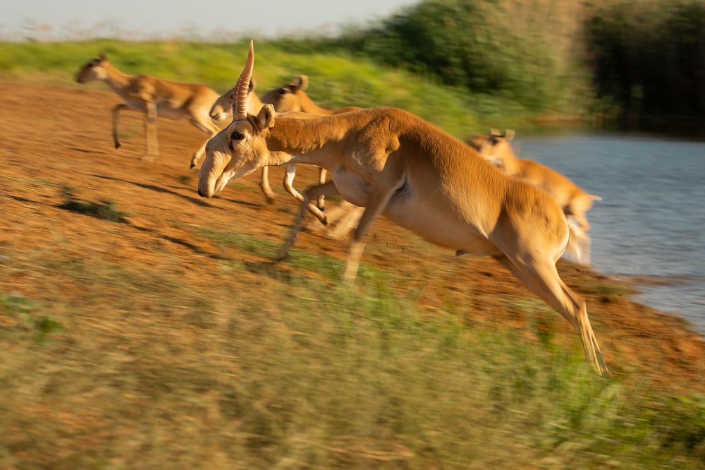 Photograph by Александр Ильин