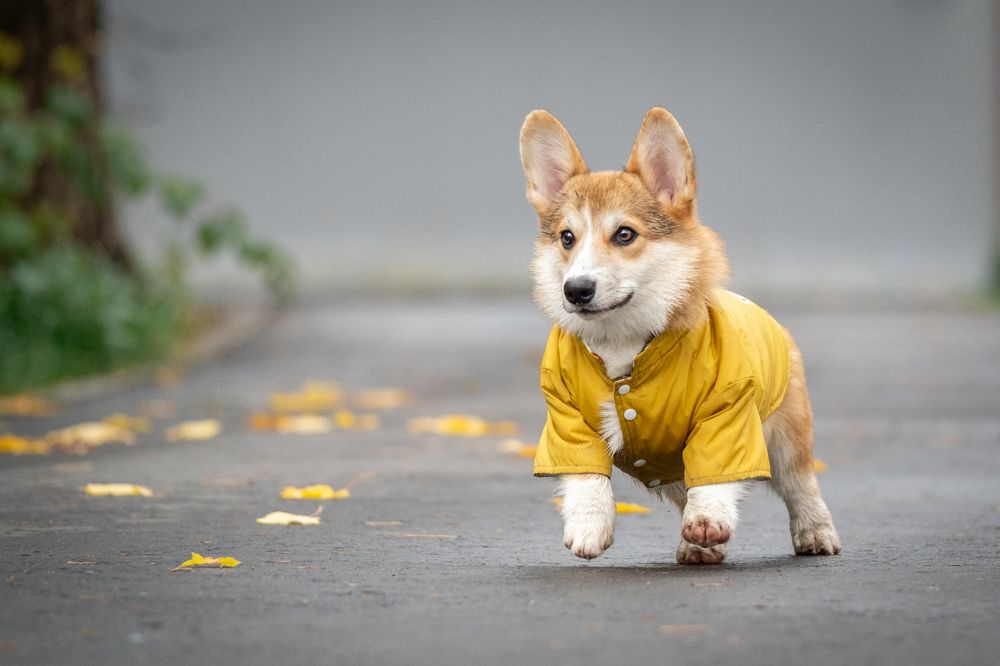 Photograph by Dina Damotseva