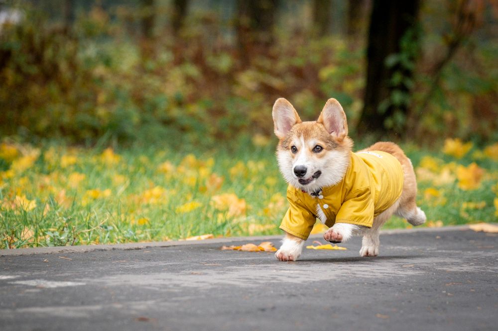 Photograph by Dina Damotseva