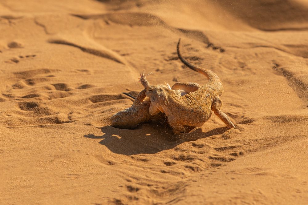 Photograph by Александр Ильин