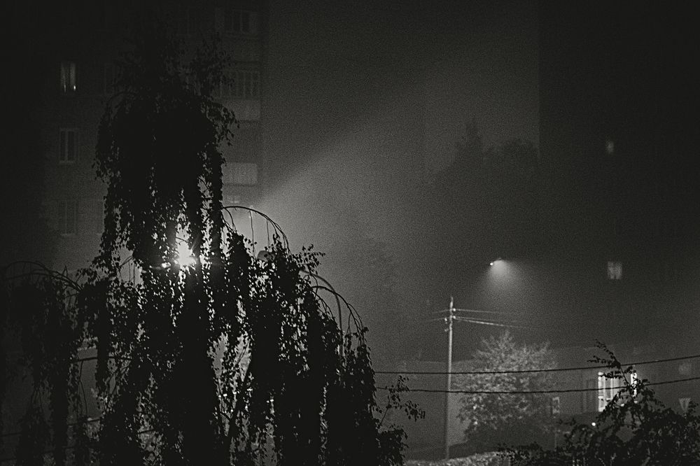 Фотография автора Aleksei Kartashov