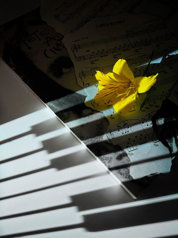 Фотография автора Елена Декерт