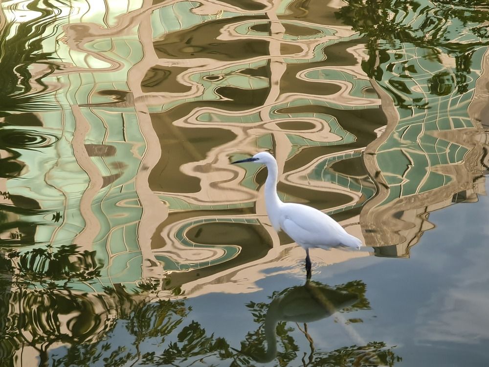 Photograph by Chaymaa Cheta