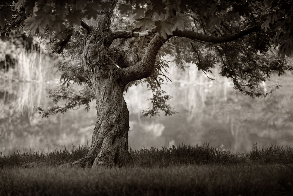 Photograph by Сергей Иваненко