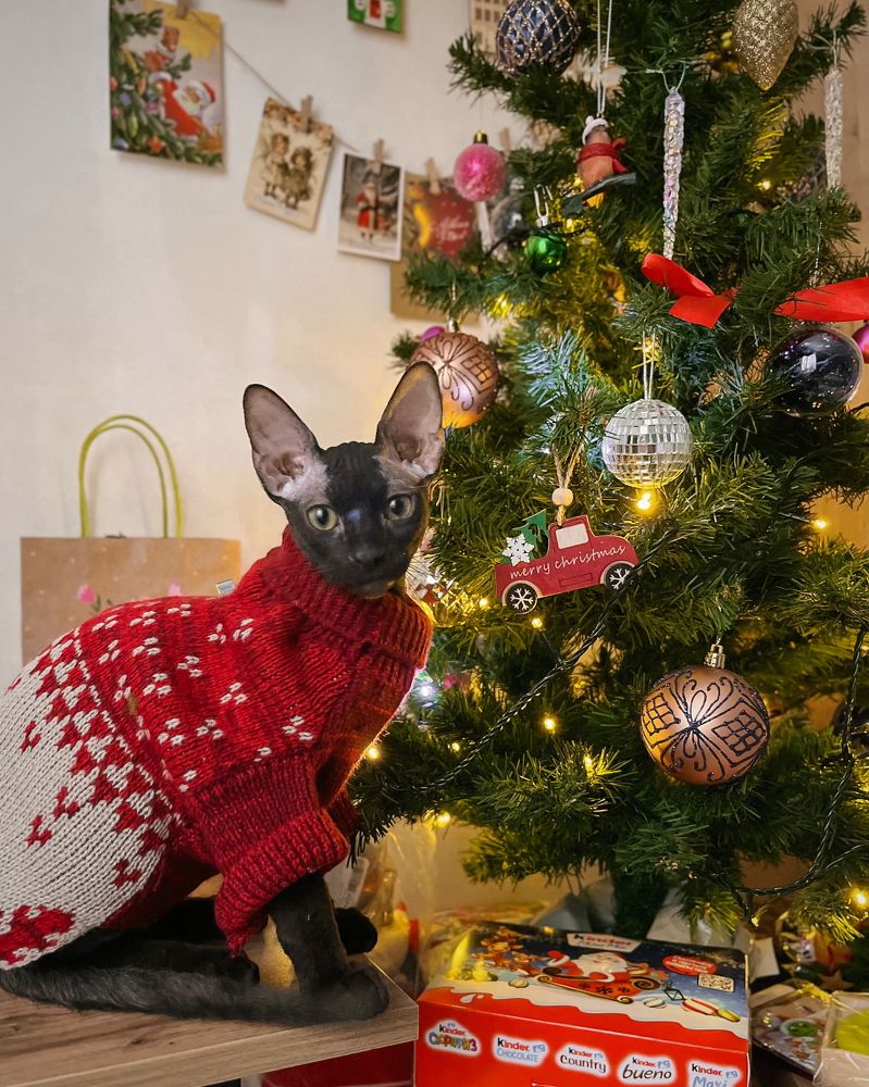 Photograph by Татьяна Ремизова