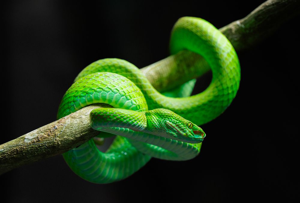 Photograph by Quân Bàng