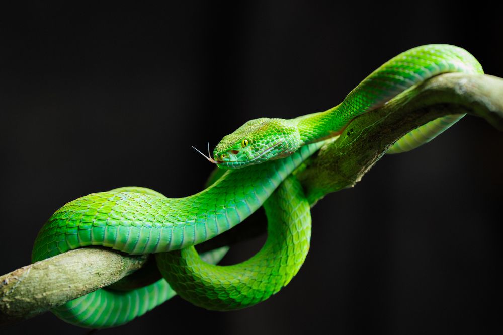 Photograph by Quân Bàng