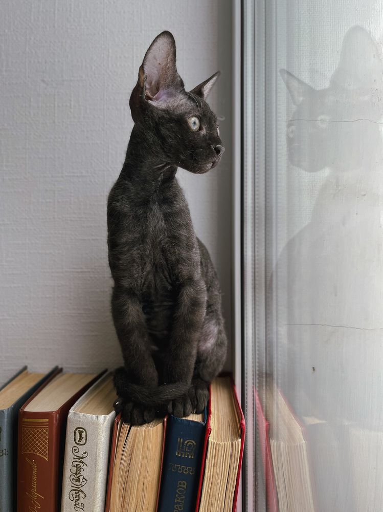 Photograph by Татьяна Ремизова