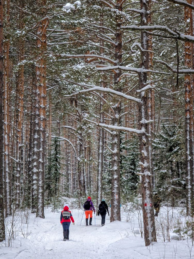 Photograph by Ишниязов Марсель