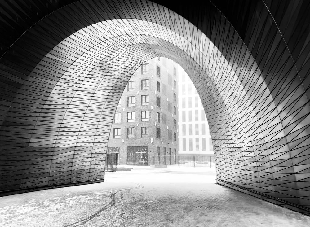 Photograph by Olga Mendosa