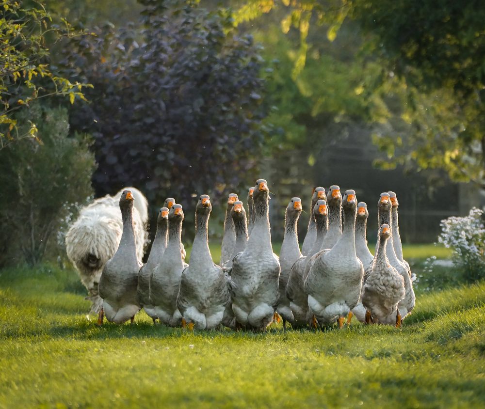 Photograph by Yulia Stepanova