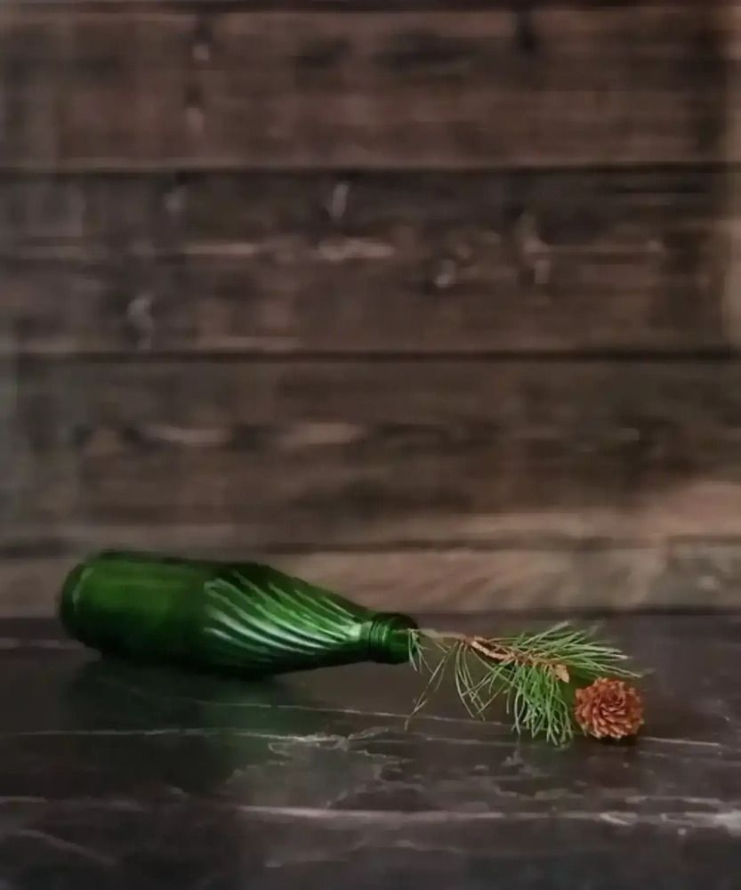 Фотография автора Светлана Алексеева