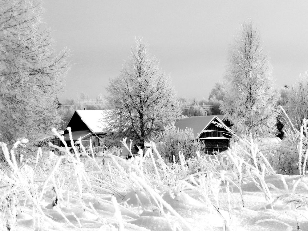 Photograph by Юрий Пучков