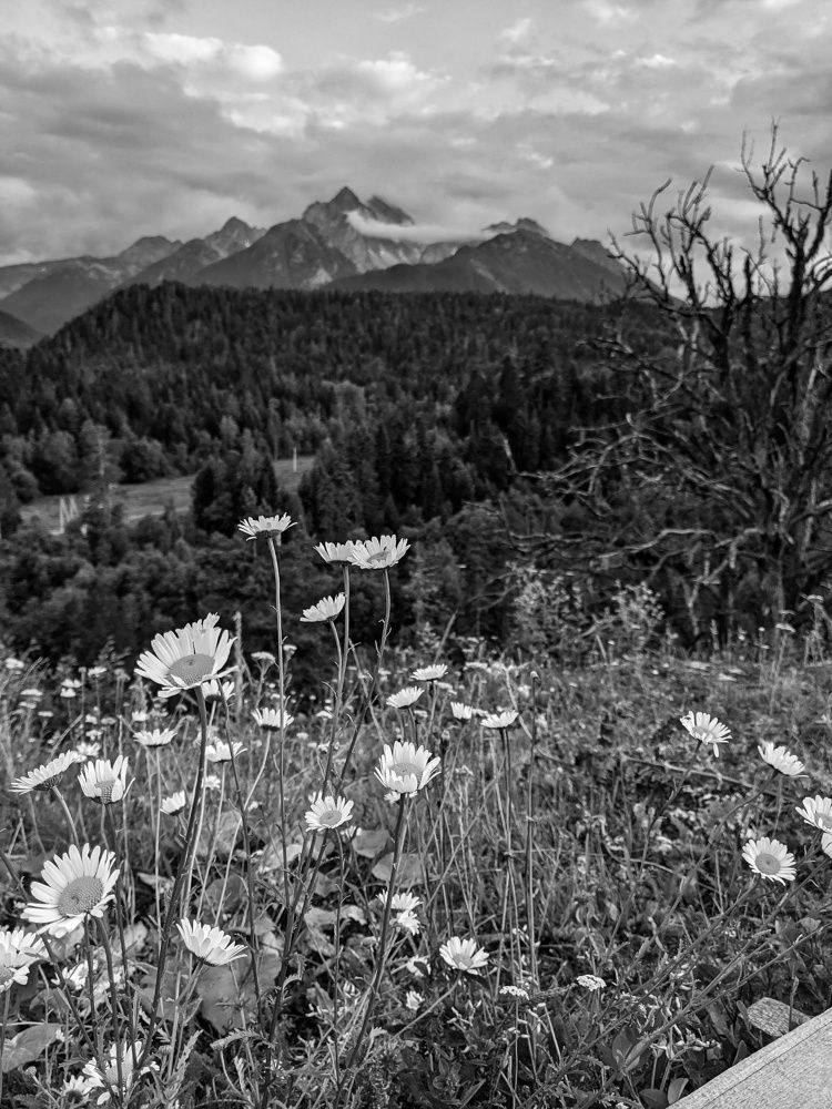 Photograph by Irina Bagdasarova