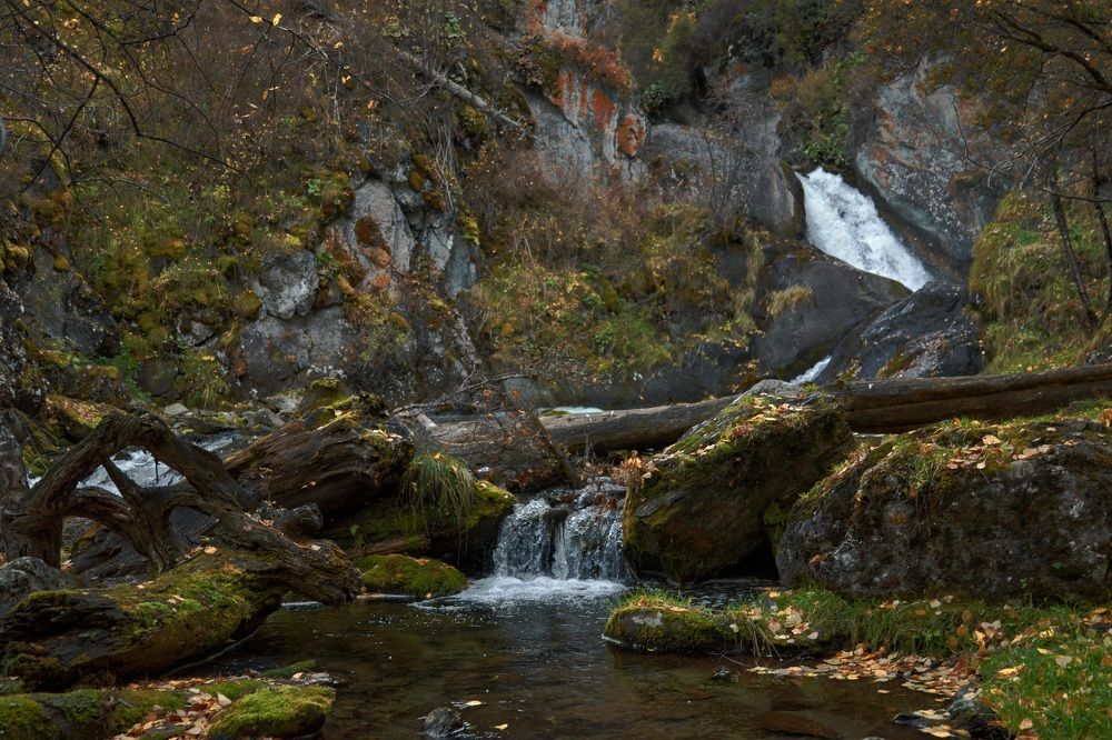 Фотография автора Антон Бразевич