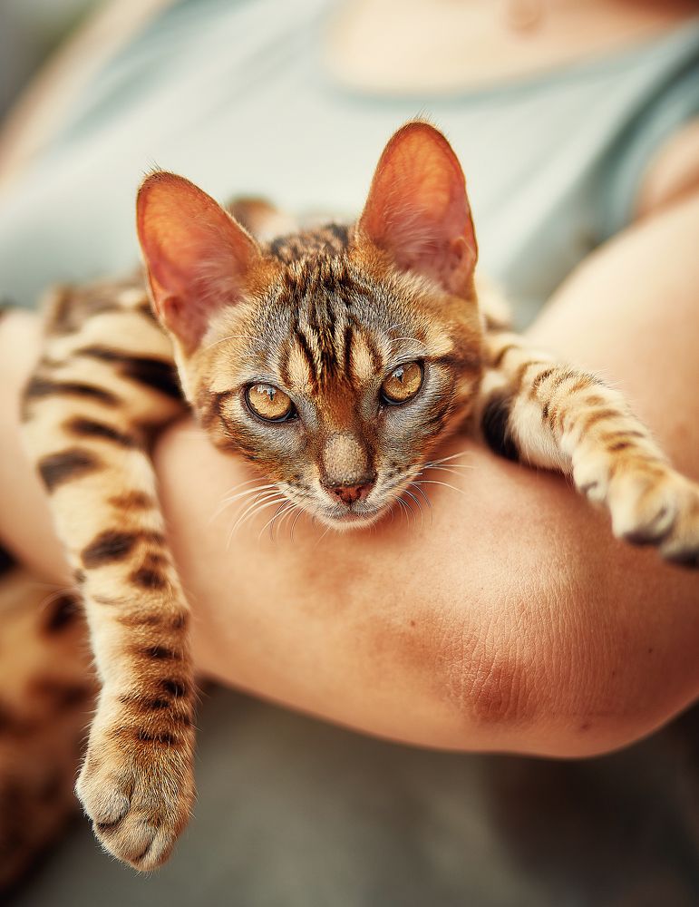 Photograph by Наталья Мясникова