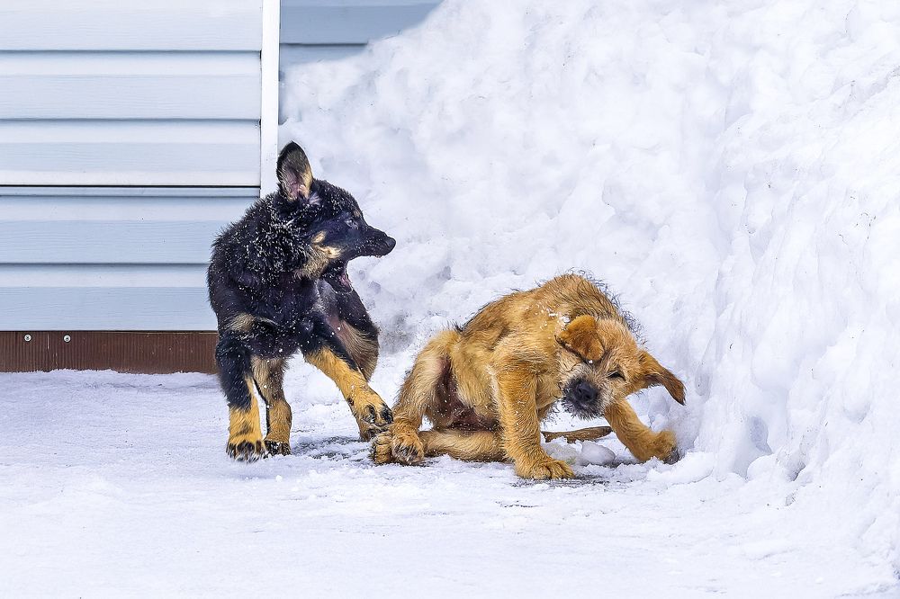 Photograph by Margarita