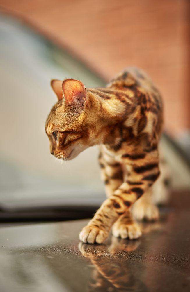 Photograph by Наталья Мясникова