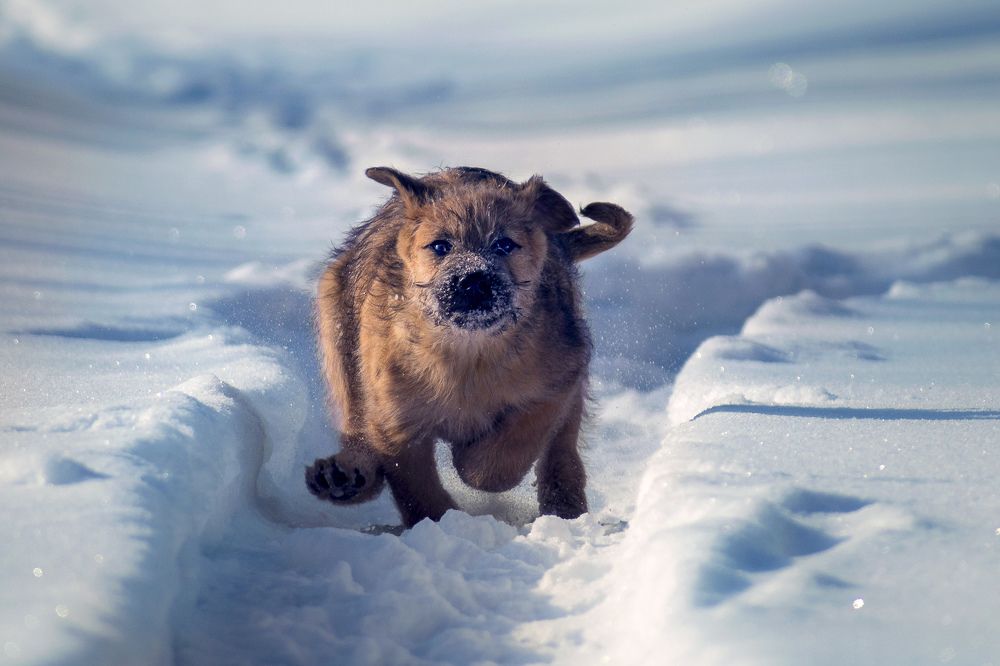 Photograph by Margarita