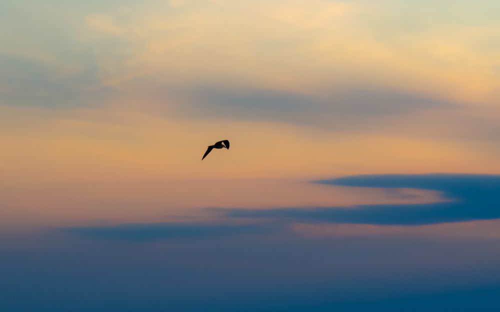 Photograph by Майоров Виктор