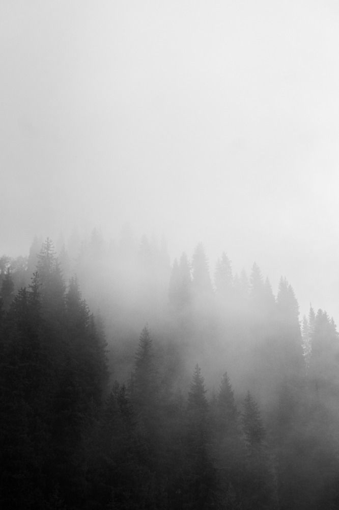 Фотография автора Sorokina Anastassiya