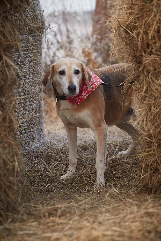 Photograph by Наталья Мясникова