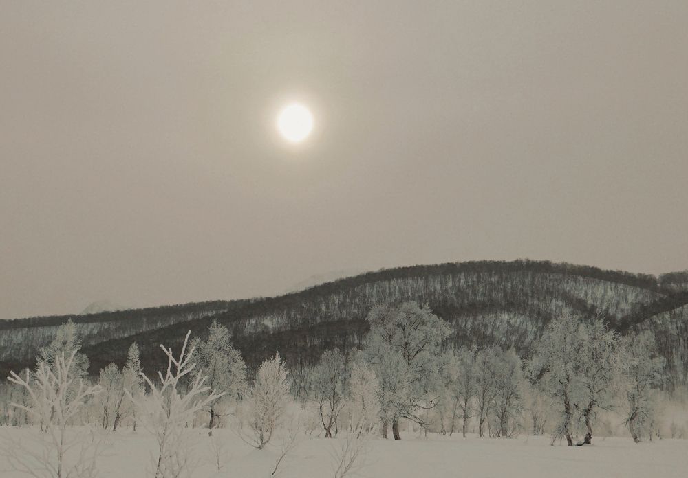 Скоро полдень.