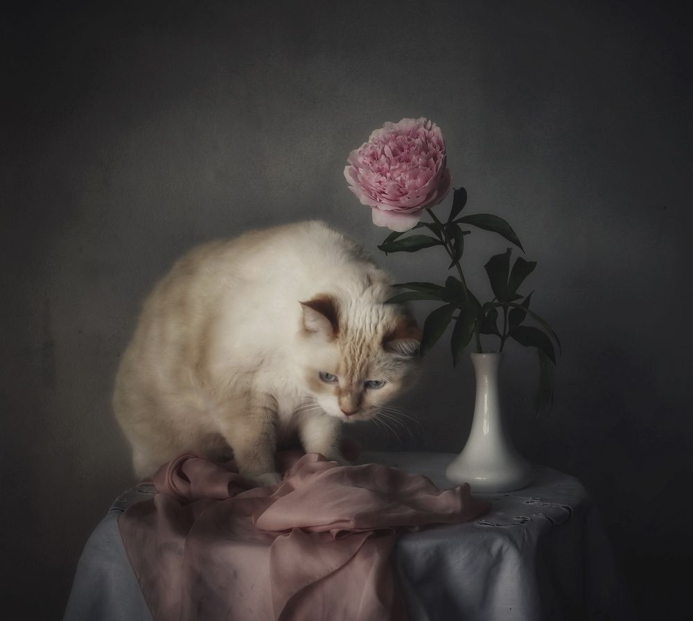 Photograph by Кира Бахвалова