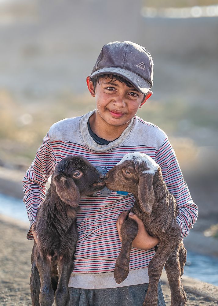 Фотография автора Mojtaba Gitinezhad